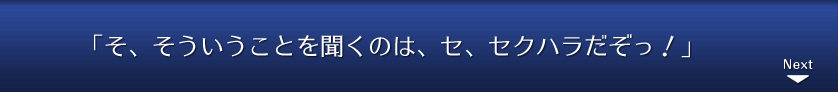「勇者はタンスを調べてもいいんですよ」